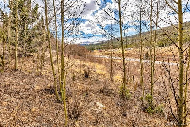 55780 Highway 9 Alma, CO 80440