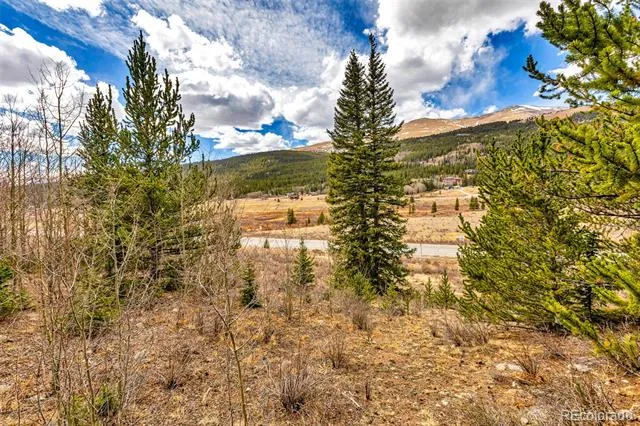 55780 Highway 9 Alma, CO 80440