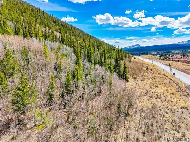 55780 Highway 9 Alma, CO 80440