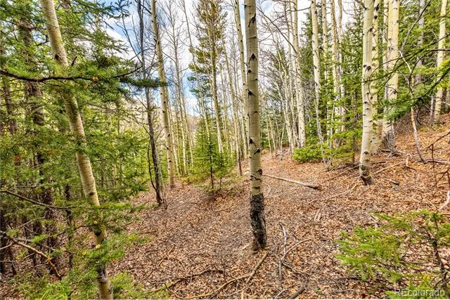 55780 Highway 9 Alma, CO 80440