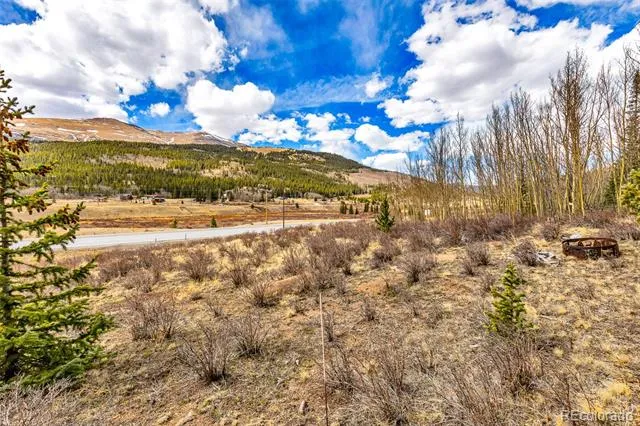 55780 Highway 9 Alma, CO 80440