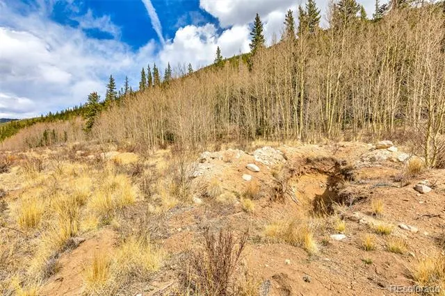 55780 Highway 9 Alma, CO 80440