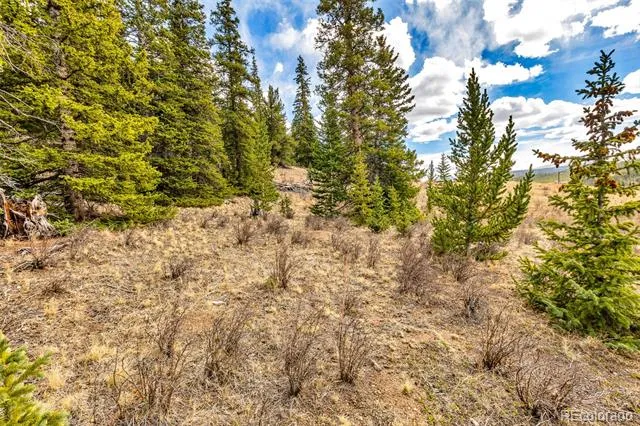 55780 Highway 9 Alma, CO 80440