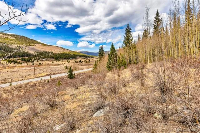 55780 Highway 9 Alma, CO 80440