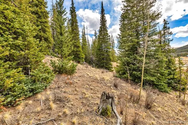 55780 Highway 9 Alma, CO 80440