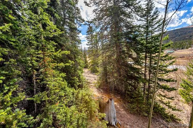55780 Highway 9 Alma, CO 80440
