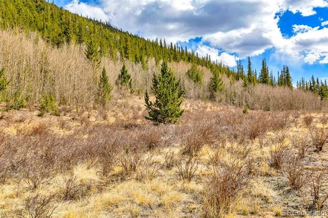 55780 Highway 9 Alma, CO 80440