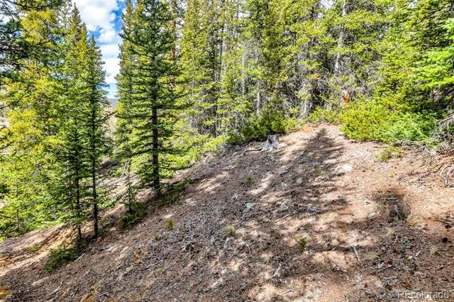 55780 Highway 9 Alma, CO 80440