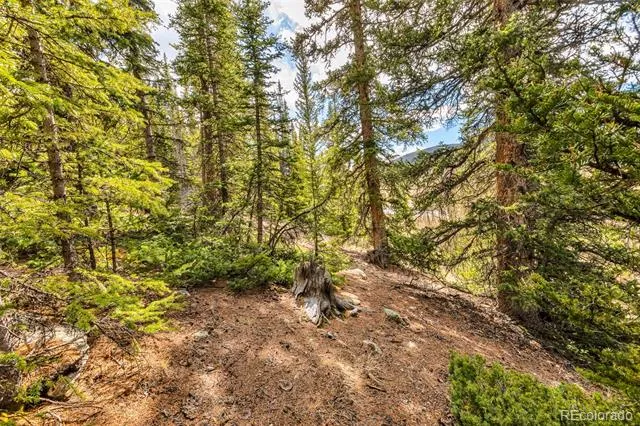 55780 Highway 9 Alma, CO 80440