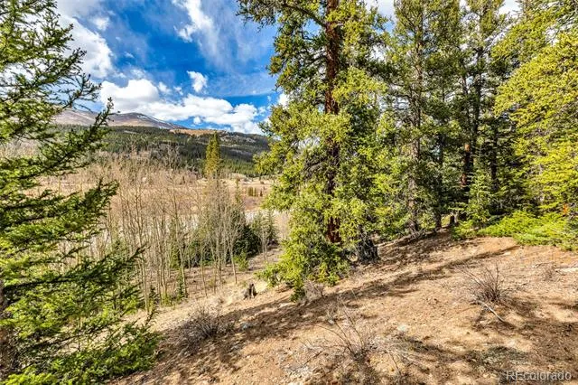 55780 Highway 9 Alma, CO 80440