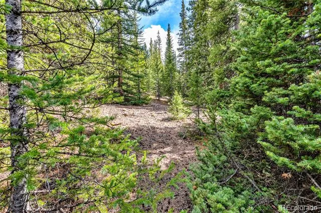 55780 Highway 9 Alma, CO 80440