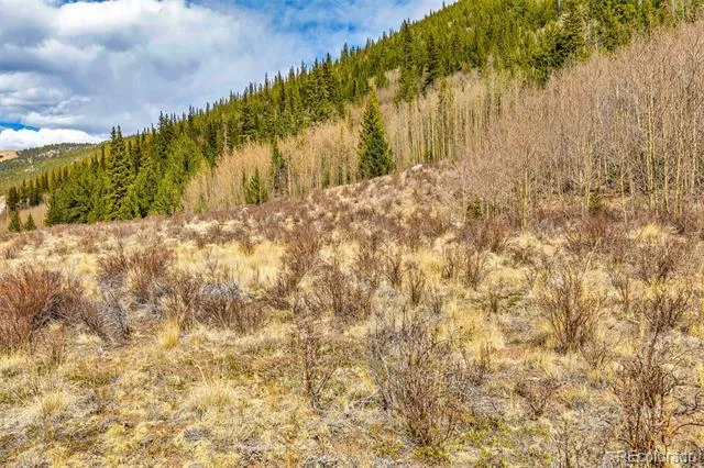 55780 Highway 9 Alma, CO 80440