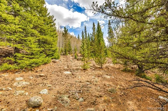 55780 Highway 9 Alma, CO 80440