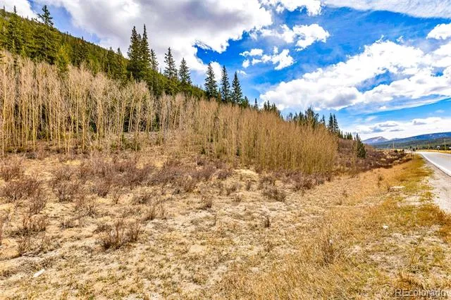 55780 Highway 9 Alma, CO 80440