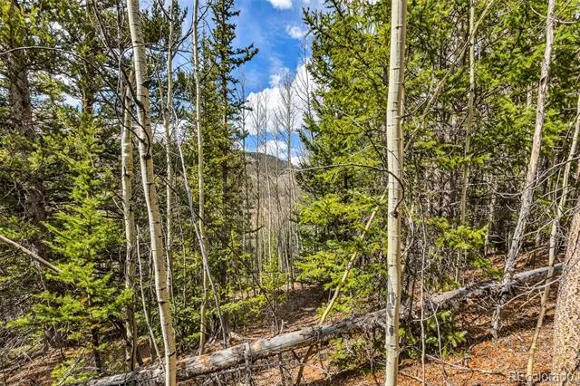 55780 Highway 9 Alma, CO 80440