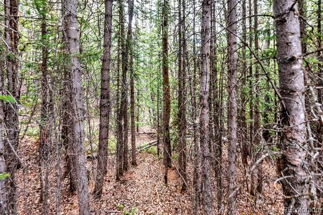 55780 Highway 9 Alma, CO 80440