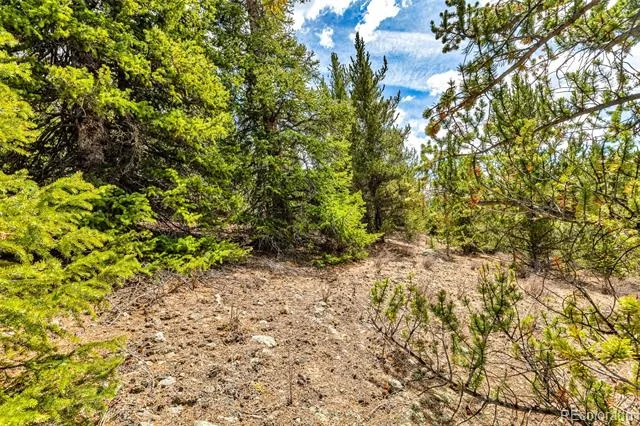 55780 Highway 9 Alma, CO 80440