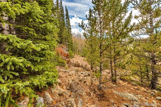 55780 Highway 9 Alma, CO 80440
