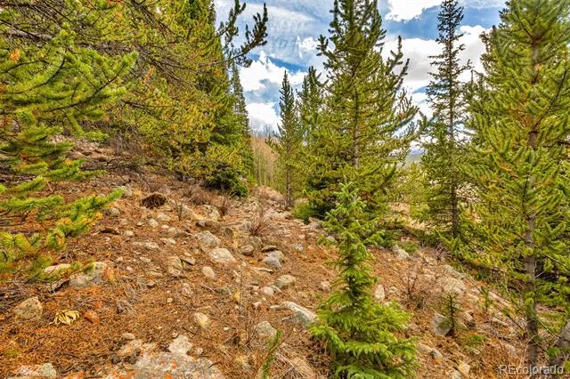 55780 Highway 9 Alma, CO 80440
