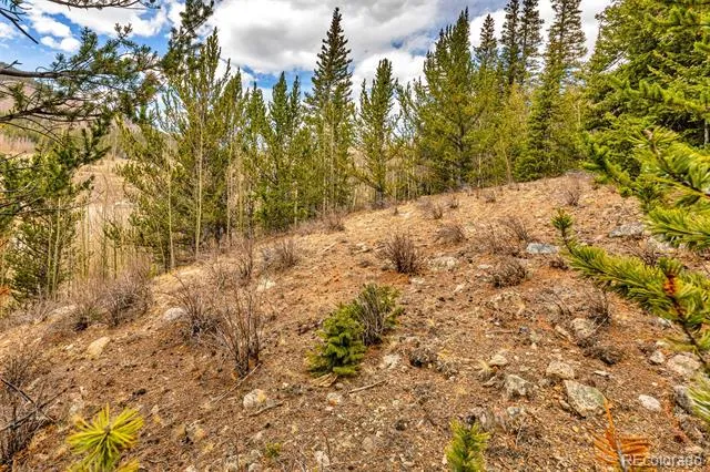 55780 Highway 9 Alma, CO 80440