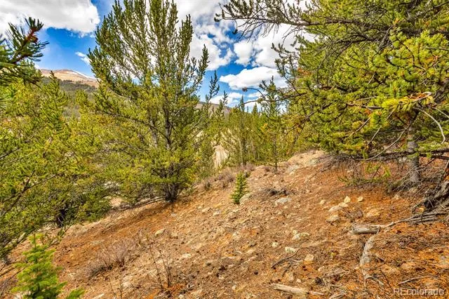 55780 Highway 9 Alma, CO 80440