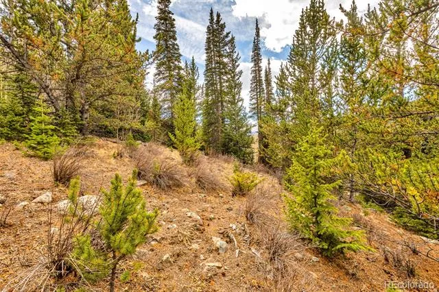 55780 Highway 9 Alma, CO 80440