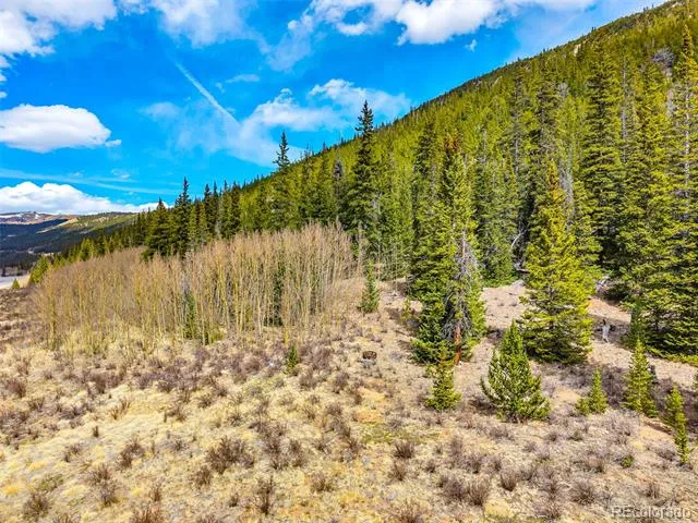 55780 Highway 9 Alma, CO 80440