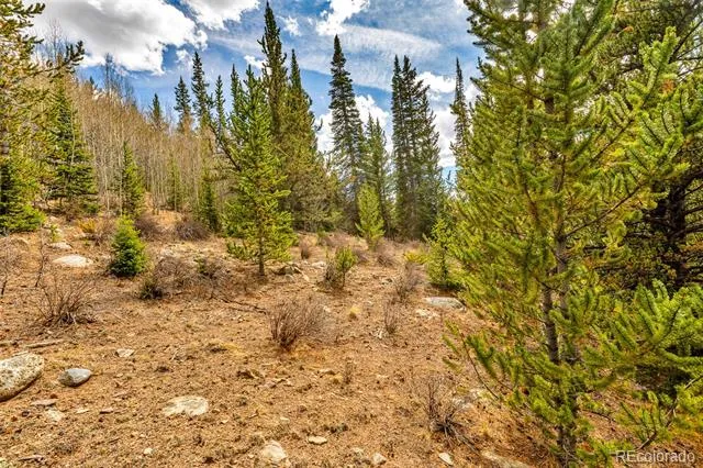 55780 Highway 9 Alma, CO 80440