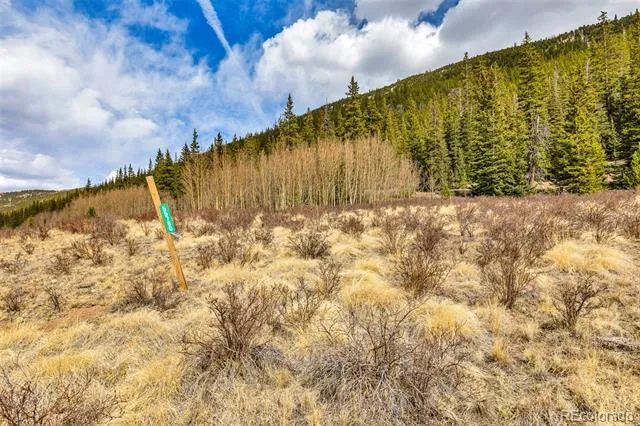 55780 Highway 9 Alma, CO 80440