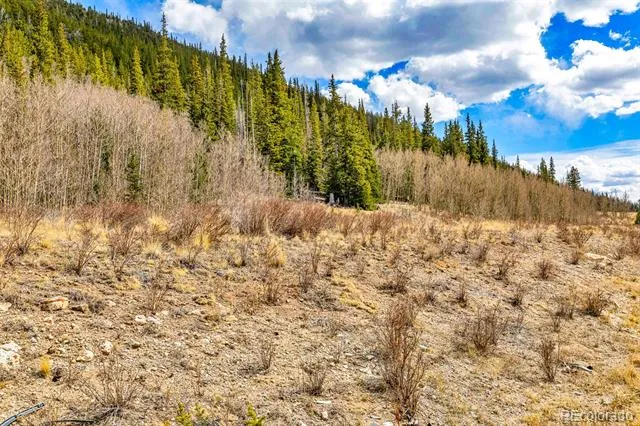 55780 Highway 9 Alma, CO 80440