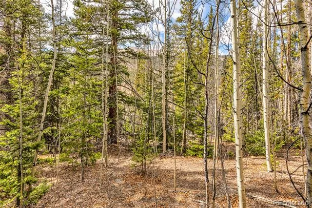 55780 Highway 9 Alma, CO 80440