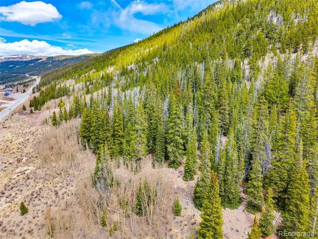 55780 Highway 9 Alma, CO 80440