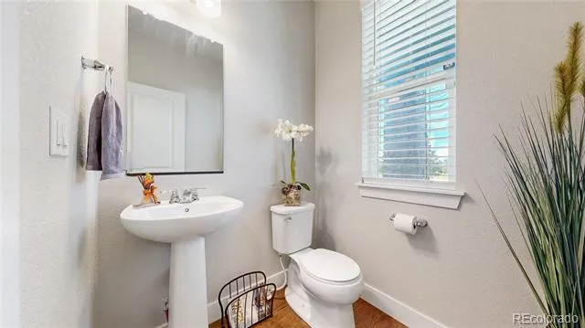 5938 Odessa Street Aurora, CO 80019