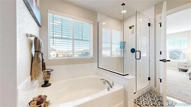 5938 Odessa Street Aurora, CO 80019