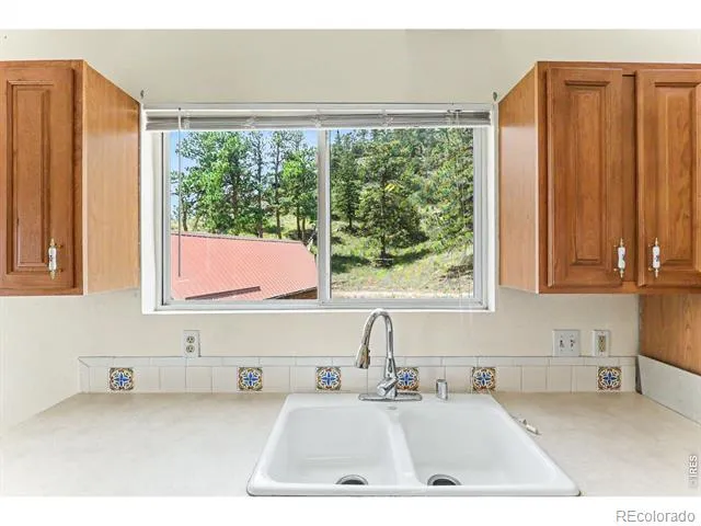 115 Paca View Court Livermore, CO 80536
