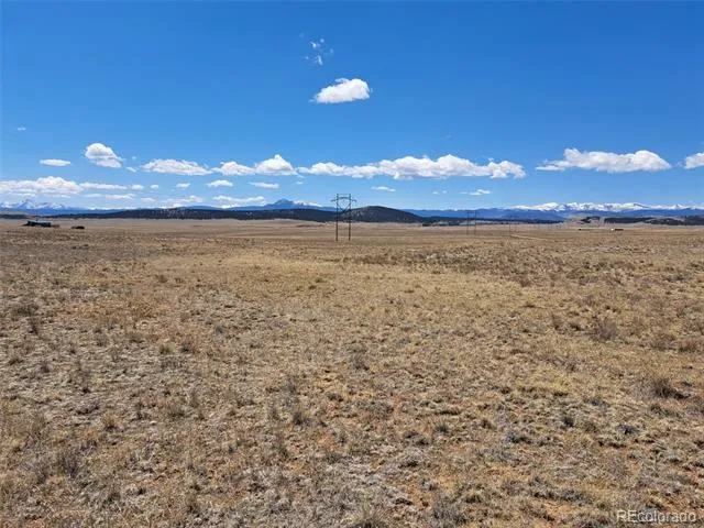 1356 Larimer Road Hartsel, CO 80449