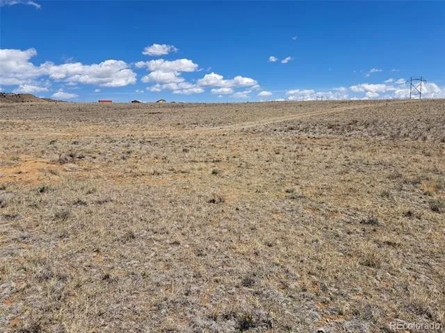 1356 Larimer Road Hartsel, CO 80449