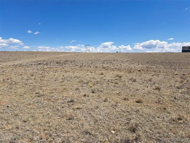 1356 Larimer Road Hartsel, CO 80449