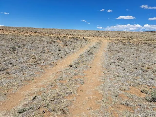 1356 Larimer Road Hartsel, CO 80449
