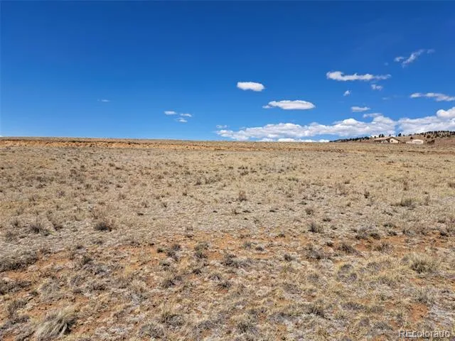 1356 Larimer Road Hartsel, CO 80449