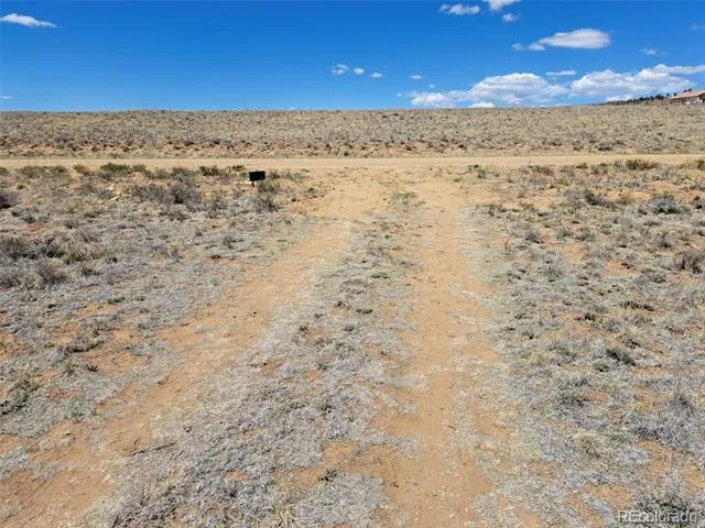 1356 Larimer Road Hartsel, CO 80449