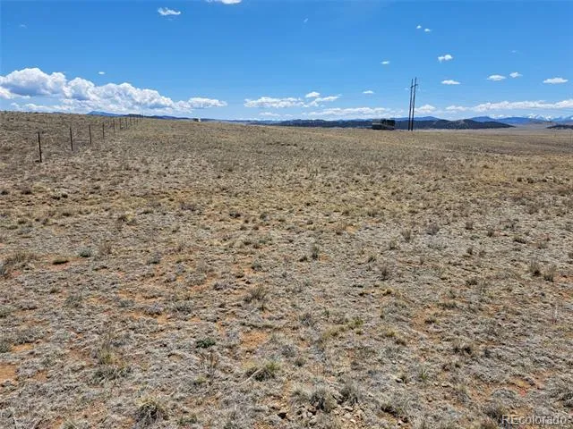 1356 Larimer Road Hartsel, CO 80449