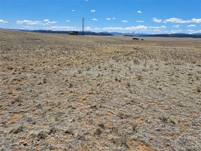 1356 Larimer Road Hartsel, CO 80449