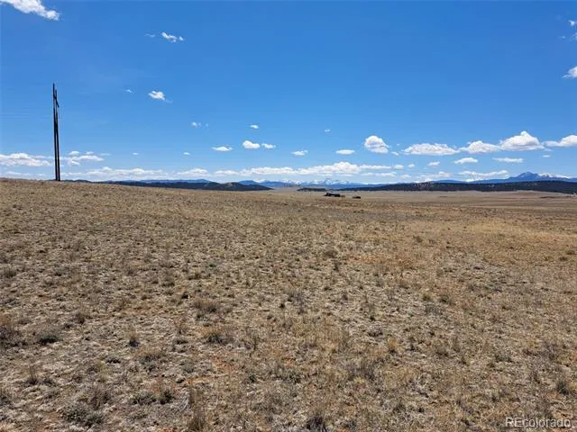 1356 Larimer Road Hartsel, CO 80449