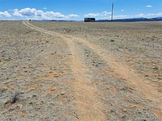 1356 Larimer Road Hartsel, CO 80449