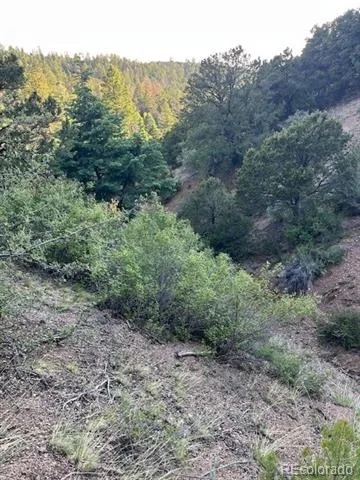 Lot 5693 Balleroy Road San Luis, CO 81152