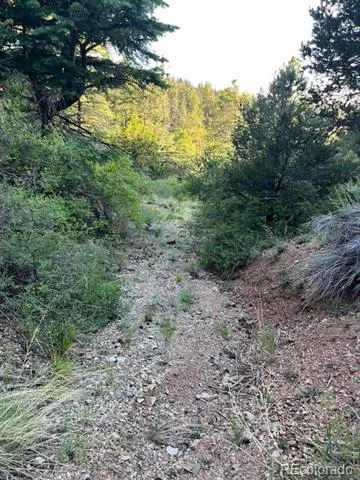 Lot 5693 Balleroy Road San Luis, CO 81152
