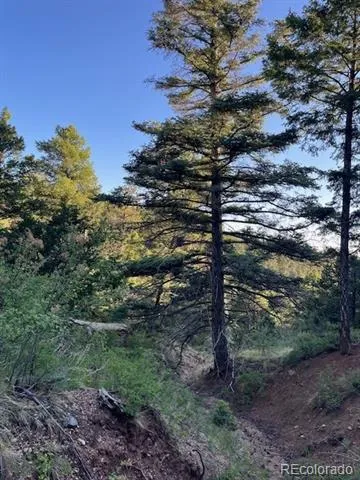 Lot 5693 Balleroy Road San Luis, CO 81152