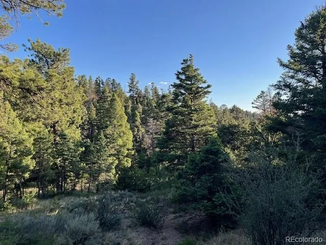Lot 5693 Balleroy Road San Luis, CO 81152