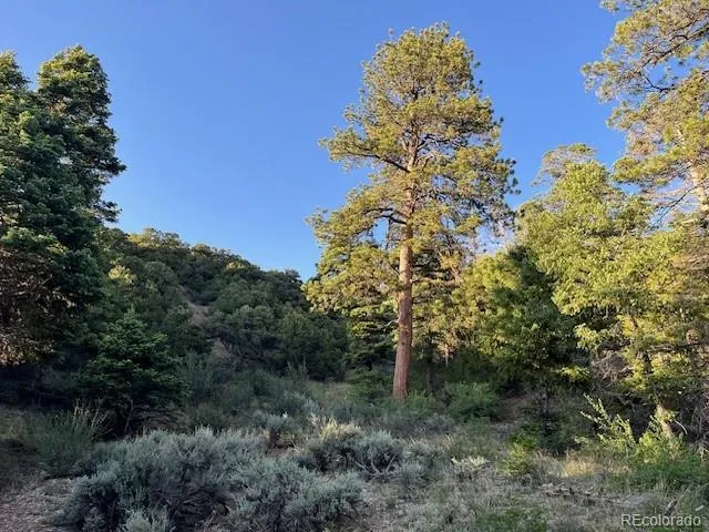 Lot 5693 Balleroy Road San Luis, CO 81152